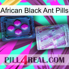African Black Ant Pills 37